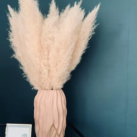 L'olivier #terrasse #confort * Clermont-Ferrand