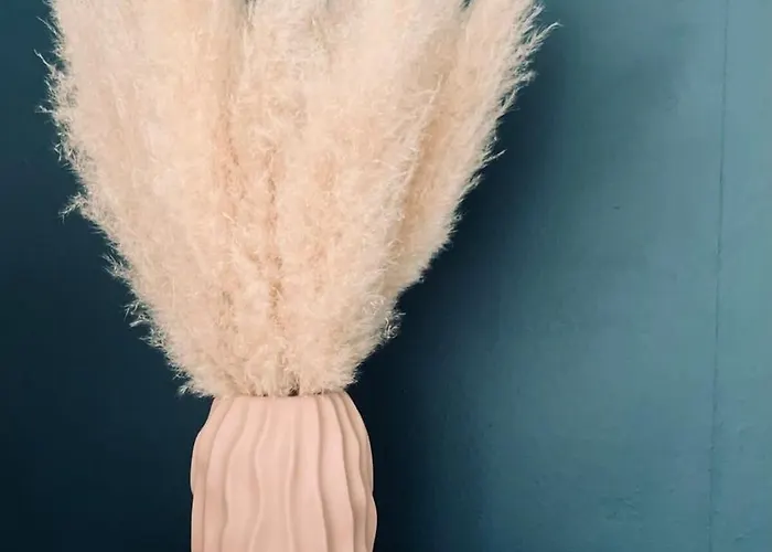 L'olivier #terrasse #confort * 클레르몽페랑